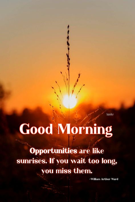 Sunrise Good Morning Quotes, Good Morning Sunrise Quotes, Morning Sunshine Quotes, Sunrise Good Morning, Sweet Good Morning Images, Sunrise Quotes, Birthday Cards For Son, Good Morning Sunshine Quotes, Sunshine Quotes