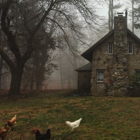 Cottage Aesthetic, Dark Cottagecore, Southern Gothic, Season Of The Witch, Cloudy Day, Stone House, Autumn Aesthetic, Cozy Cottage, Pretty Places