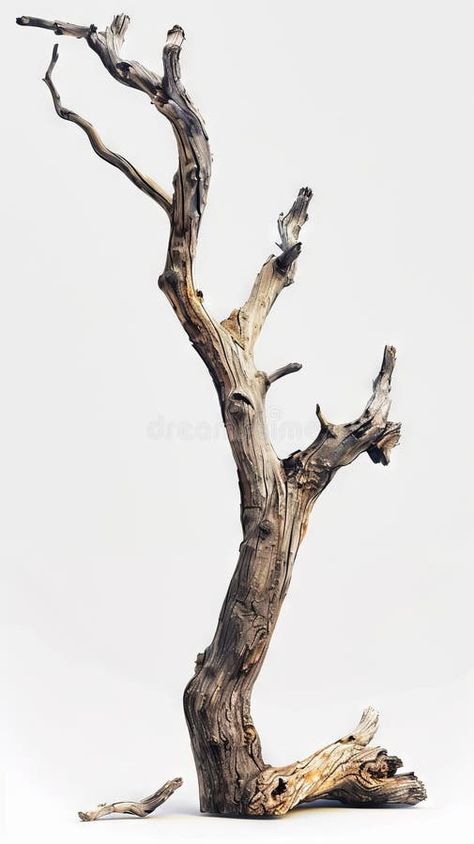 A tree with no leaves and branches stock photo Cut Down Tree Ideas, Tree Branches Photography, Tree No Leaves, Tree Branch Photography, Tree With No Leaves, Walter Pichler, 10 Of Wands, Leaf Doodles, Tree Without Leaves