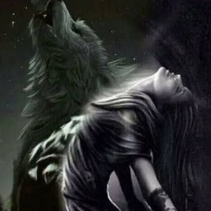 Emo Wolf, Wolf Meme, Wolf Pics, Alpha Werewolf, Wolf Images, Alpha Wolf, Wolf Pictures, Alpha Female, 웃긴 사진