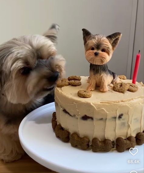 Yorkie Cake, Tag Your Friends, Cake Art, Yorkshire Terrier, I Love Dogs, Yorkie, Yorkshire, Birthday Cake, Cake