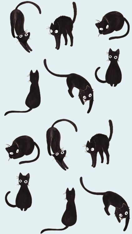 Scared Black Cat Drawing, Cat Illustration Simple, Cat Illustration Design, Black Cat Drawing, Black Cat Illustration, Tumblr Iphone, Cat Reference, Black Cat Art, Wallpaper Tumblr