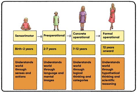 Jean Piaget's Theory of Cognitive Development | Practical Psychology Jean Piaget Theory, Practical Psychology, Godparent Request Ideas, Piaget Theory, Cognitive Theory, Godparent Request, Inductive Reasoning, Jean Piaget, Developmental Stages