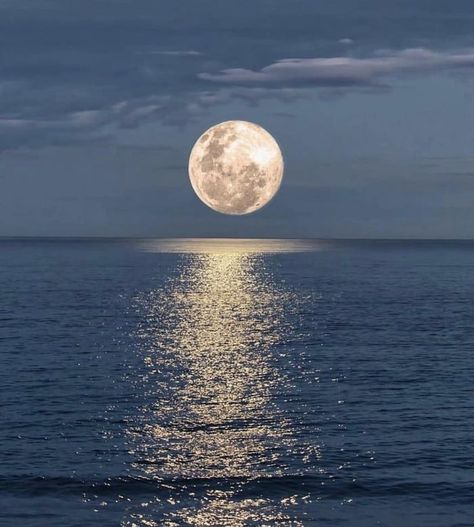 Reflection of the moon on the ocean #oceanmoon #fullmoon #nightocean #sea Moon Madness, Shoot The Moon, Moon Pictures, Moon Photography, Super Moon, Ocean Water, The Full Moon, Gifu, Beautiful Moon