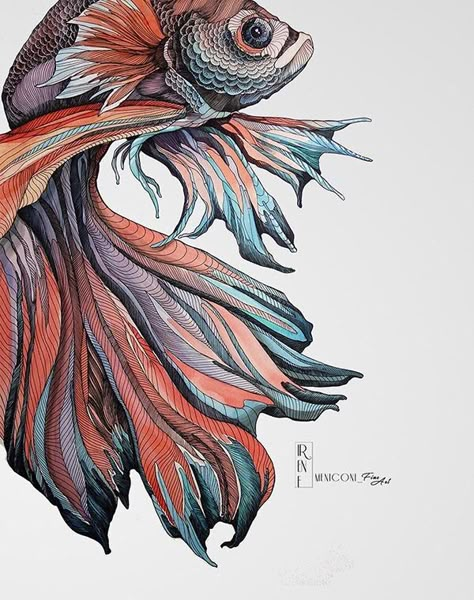 Beta Fish Drawing, Illustrated Fish, Fish Artwork, Fish Illustration, Fish Drawings, Color Pencil Art, Fish Art, Pen Art, Line Art Drawings