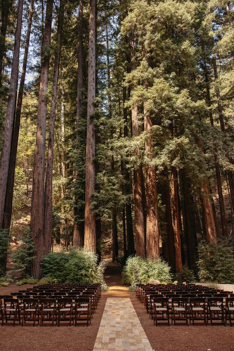 Wedding Venues Forest Woods, Outdoor Wedding Pine Trees, Wedding In The Fall Ideas, Woodsy Outdoor Wedding, Pacific Northwest Wedding Venues, Affordable Mountain Wedding, Forest Wedding Signs, Wedding Dress For Forest Wedding, Lakeside Wedding Venues