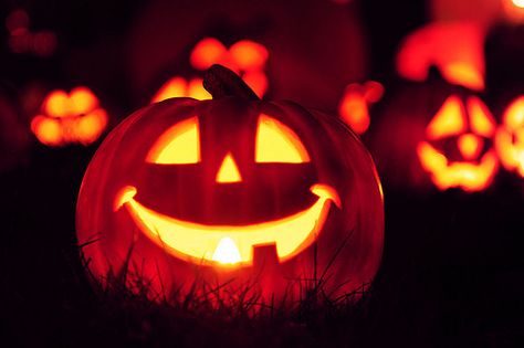 Smiling jack o lantern smile halloween halloween pictures halloween images halloween ideas jack o lantern Bucket List For Girls, Halloween Tumblr, Lantern Ideas, Jack O'lantern, Halloween Horror Nights, Halloween Jack, Halloween Props, Halloween Boo, Pics Art