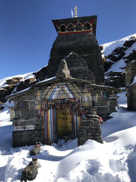 Shiva Murti, Panch Kedar, Tungnath Temple, Shiv Temple, Kedarnath Temple, Temple Room, Temple Photo, Art Test, Props Concept