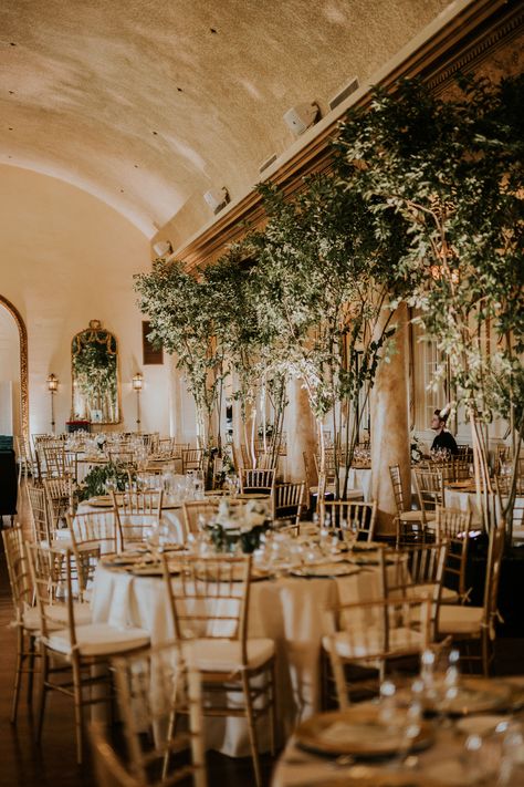 Orangery Wedding Reception, Tree Rentals For Wedding, Indoor Hacienda Wedding, Wedding Venue Inspiration Indoor, Wedding With Trees Inside, Indoor Tree Wedding Ceremony, Ethereal Wedding Indoor, Garden Theme Wedding Indoor, Indoor Floral Wedding Decor