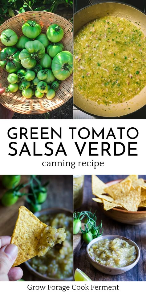 Green Tomato Salsa Verde Canning, Green Tomato Salsa Verde Canning Recipe, Recipes Fresh Tomatoes, Green Salsa Recipes, Salsa Verde Canning, Roasted Green Tomato Salsa, Canning Salsa Recipes, Salsa Verde Canning Recipe, Green Tomato Salsa Verde