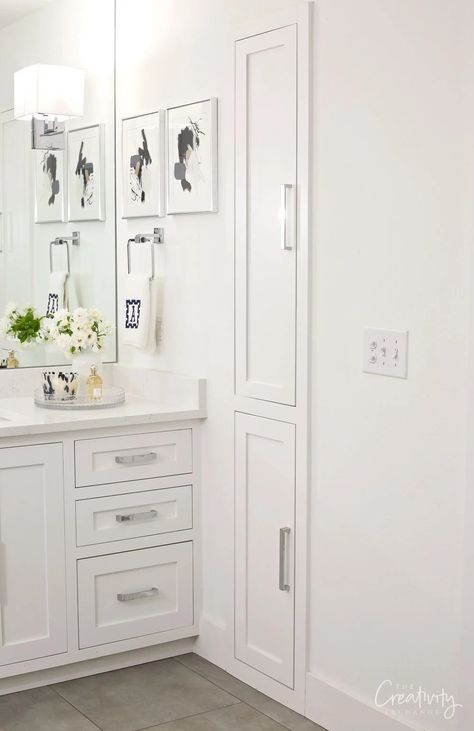 Bathroom Cabinet Between Studs, Built In Storage Small Bathroom, Cabinet In Between Bathroom Sinks, Cabidor Storage, Between The Studs Storage Bathroom, In Wall Storage Between Studs, Stud Storage, Bathroom Vanity Drawers, Bathroom Wall Storage