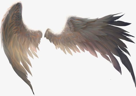 Wings Png, Angel Wings Art, Wings Drawing, Wings Art, Bird Wings, Black Wings, Angels And Demons, Pics Art, Drawing Tips