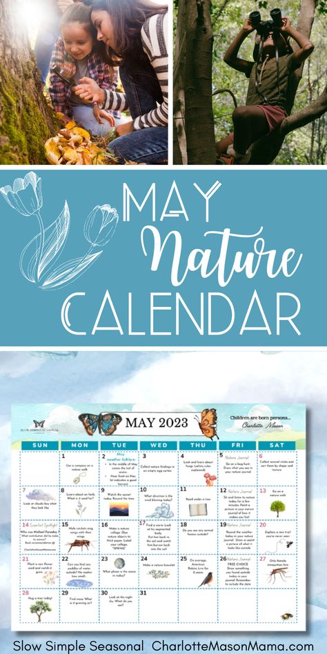 Download a free nature calendar for May 🦋 Nature Calendar, Michael Faraday, Charlotte Mason Homeschool, Journal Labels, Mini Booklet, Homeschooling Resources, Free Nature, Homeschool Kids, New Scientist