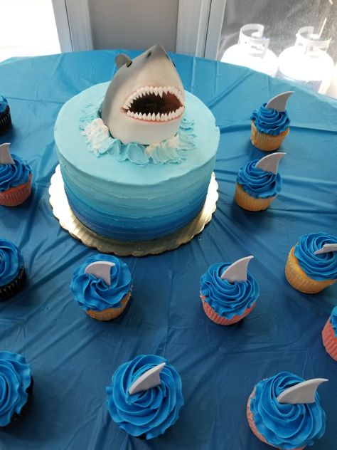 Shark themed birthday party. Shark Week Party, Shark Birthday Cakes, Shark Themed Party, Ocean Birthday Party, Shark Themed Birthday Party, Shark Cake, Ocean Birthday, Shark Birthday Party, Pool Birthday