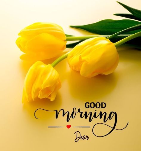 Very Good Morning Images, Morning Massage, Good Morning Clips, Good Morning Massage, Morning Pic, Special Good Morning, Good Morning Msg, Morning Msg, Good Morning Coffee Images