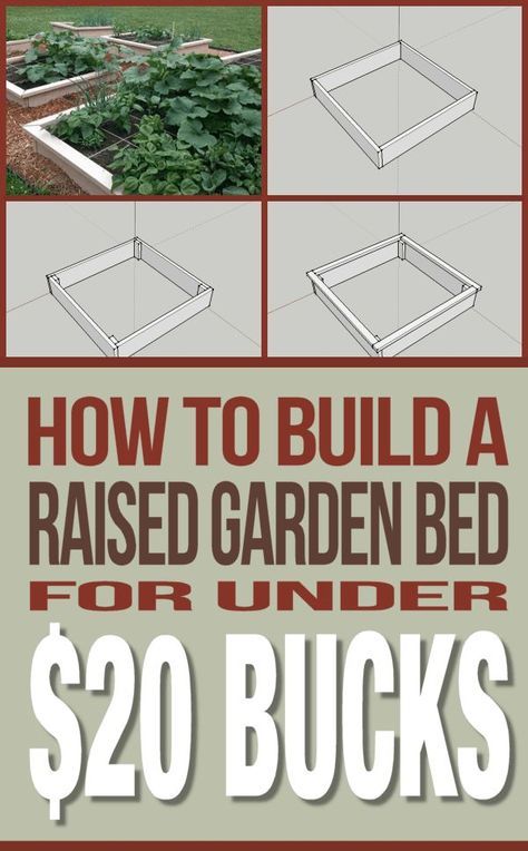 Raised Gardens, Raised Bed Gardening, Vegetable Garden Raised Beds, Building A Raised Garden, Square Foot Gardening, Garden Boxes, Raised Bed, Garden Bed, Veggie Garden