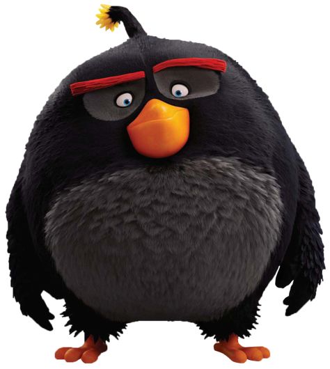 Birds Movie, Angry Birds Movie, Angry Bird, Angry Birds, Birds, White