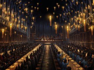 Hery Potter, Gryffindor Aesthetic, Hufflepuff Aesthetic, Harry Potter Wall, The Great Hall, Anniversaire Harry Potter, Images Harry Potter, Great Hall, Hogwarts Aesthetic