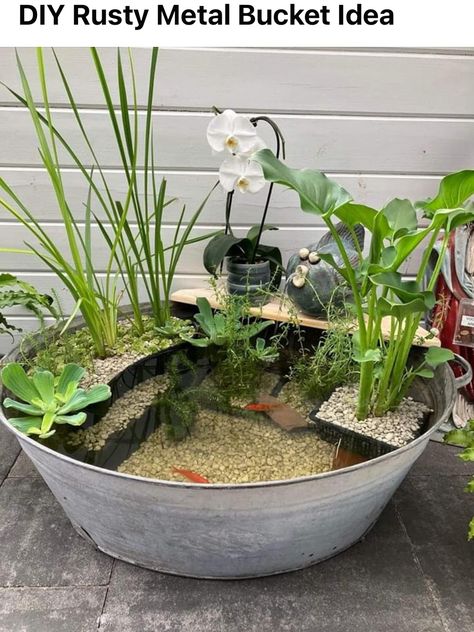 Balcony Pond Diy, Small Pond Ideas Container Water Gardens, Container Fish Pond Diy, Garden Fontaine Ideas, Diy Fish Pond Cheap, Diy Mini Ponds Backyard Simple, Flower Pot Pond, Container Pond Plants, Diy Mini Pond Ideas