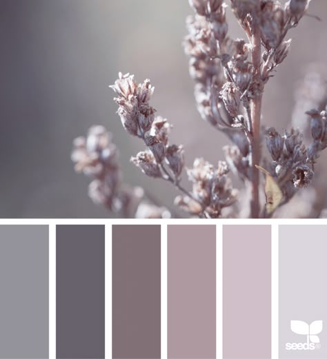 Color Nature | design seeds | Bloglovin’ Design Seeds Color Palette, Seeds Color Palette, Seeds Color, Grey Color Scheme, Room Color Schemes, Bedroom Color Schemes, Design Seeds, Bohol, Color My World