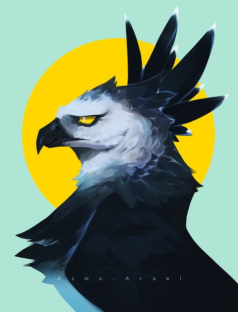 Harpy Eagle, Eagle Drawing, Oc Art, Fantasy Creatures Art, Mythical Creatures Art, Creature Concept Art, Animal Sketches, Creature Art, 귀여운 동물