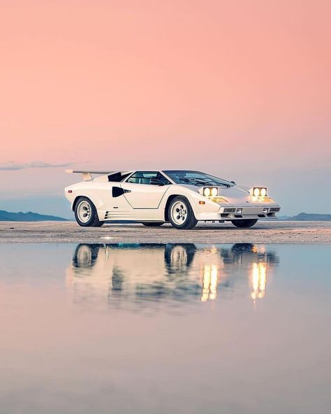 Lamborghinis & Alpacas What’s your favourite Lamborghini ever? Comment! ⬇️ 📸: @alexpenfold 🏎: @thestradman 🦙 : @peppergrassranch , DM… | Instagram Expensive Sports Cars, Lamborghini Countach, Street Racing Cars, Car Posters, Auto Accessories, Drift Cars, Car Photography, Automotive Design