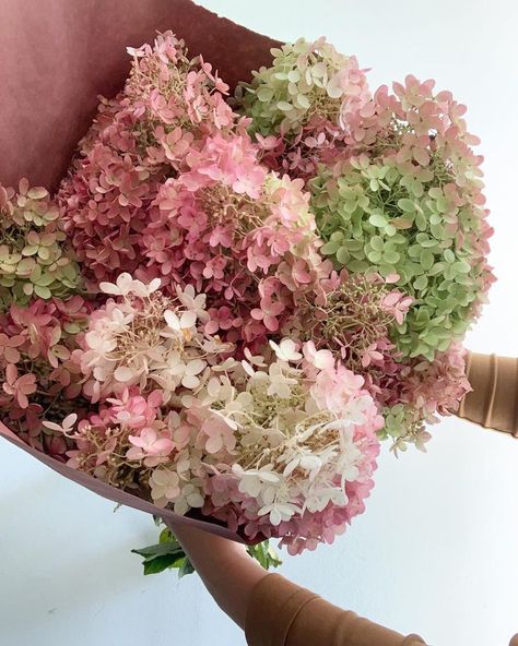 Pink Hydrangea Bouquet, Antique Rose Bouquet, Pee Gee Hydrangea, Hanging Installation, Floral Designs Arrangements, Limelight Hydrangea, Long Stem Flowers, Hydrangea Arrangements, Hydrangea Bouquet