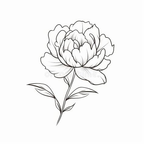 Peony Drawing Simple, Draw Peony, Easy Peony Drawing, Peony Flower Sketch, Simple Peony Drawing, Simple Peony Tattoo Outline, Peony Flower Outline, Peony Line Tattoo, Peony Tattoo Stencil Outline