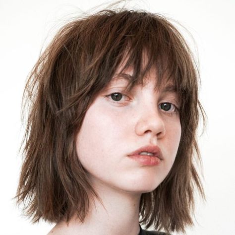 Layered Modern French Bob with Face Framing Fringe Bangs and Messy Just a Bend Texture on Black Hair - The Latest Hairstyles for Men and Women (2020) - Hairstyleology Warm Brunette Hair Color, Razor Cut Bob, Thermal Brush, Warm Hair Color, Brunette Medium, Warm Brunette, Messy Haircut, Medium Hair Cuts, Latest Hairstyles