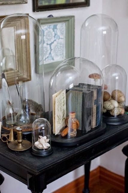 Eye For Design: Decorating Under Glass With Cloches And Domes Glass Cloche Decor, Cloche Ideas, Cloche Decor, Glass Bell Jar, Cloche Domes, Bell Jars, Cabinet Of Curiosity, Glass Cloche, The Bell Jar