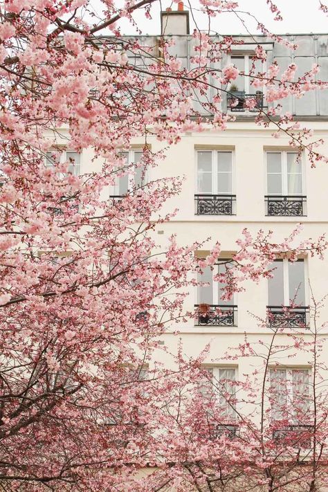 Frühling Wallpaper, Pastel Pink Wallpaper, Pink Wallpaper Backgrounds, Paris Travel Guide, Paris Aesthetic, Pastel Pink Aesthetic, Pink Vibes, Pink Spring, Rose Rouge