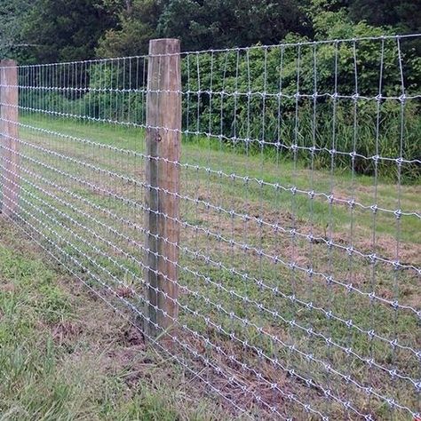 Weld Wire Fence Ideas, Railroad Ties Fence Ideas, Wire Fence Ideas, Wired Fence, Dog Yard Fence, Diy Fence Ideas Cheap, Goat Fencing, Hog Wire Fence, Goat Fence