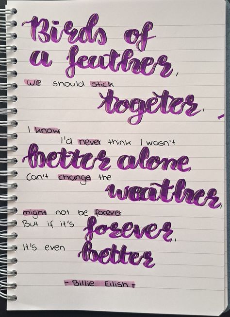 Song Lyric Pictures, Billie Eilish Journal Ideas, Birds Of A Feather Lyrics, Song Diary Ideas, Song Lyrics Journal, Birds Of A Feather Billie Eilish, Lyrics On Paper, Song Drawings, Lyrics Notebook