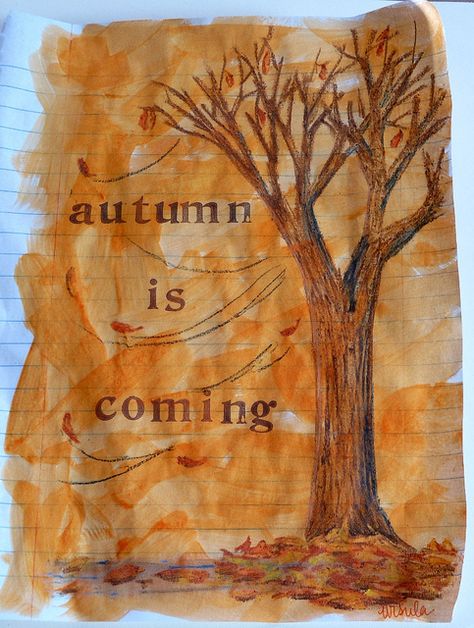 Autumn Is Coming, Quiet Storm, I Love Autumn, Fall Is Coming, Autumn Love, Seasons Autumn, Love Autumn, All Things Fall, Autumn Thanksgiving