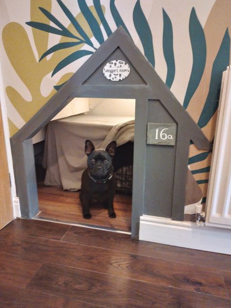 Under stairs cupboard dog room Stairs Dog House, Under Stairs Dog House, Dog Room, Coat Closet, Dog Rooms, Under Stairs, Dog House, Simple Tricks, Home Hacks