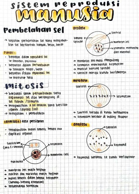 Materi Kelas 9, Materi Ipa, Pelajaran Ipa, Catatan Aesthetic, Medical Terminology Study, Study Biology, School Study Ideas, Science Notes, School Organization Notes