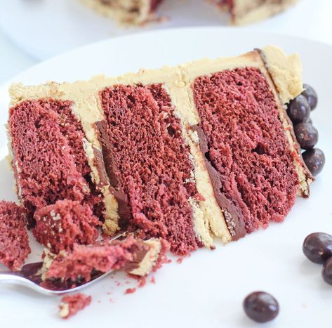 Raspberry Pink Velvet Cake, Raspberry Velvet Cake, Black Raspberry Cake Recipes, Black Raspberry Cake, Cake Cone, Birthday Cake Icing, Black Velvet Cakes, Pink Velvet Cakes, Raspberry Cake Recipes