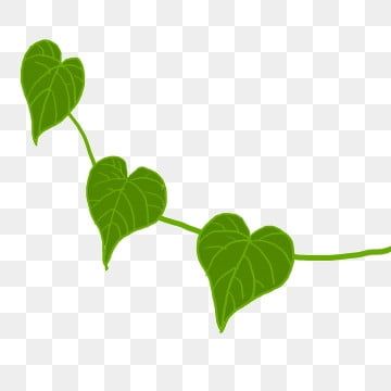 How To Draw Tears, Heart Shaped Leaf, Thread Ideas, Heart Shaped Leaves, Leaves Png, Heart Leaf, Simple Leaf, Leaf Border, Leaf Drawing