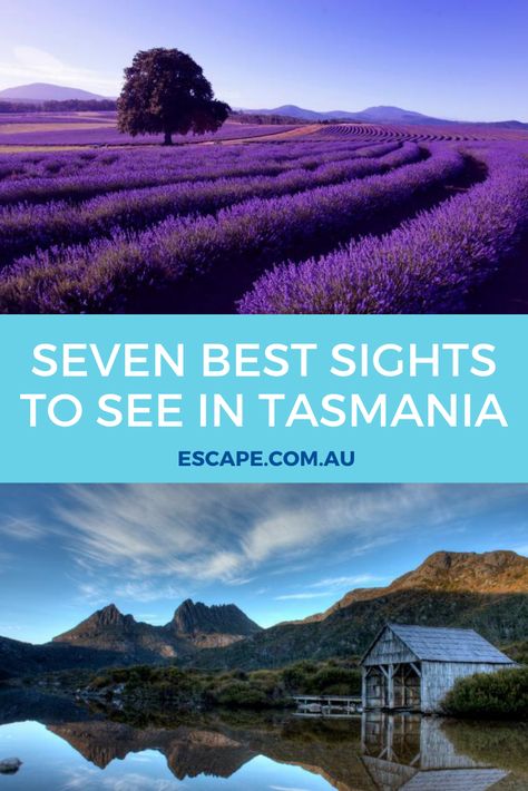 Tasmania Road Trip, Visit Australia, Hobart, Clean Air, Tasmania, Open Up, Australia Travel, Life Art, Australia