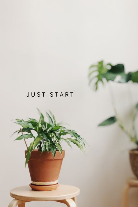 New Beginning Images Pictures, New Beginnings Aesthetic Images, Self Development Aesthetic Pictures, Just Start Wallpaper, Try New Things Aesthetic, Starting Over Aesthetic, New Chapter Aesthetic, New Start Aesthetic, New Beginnings Wallpaper