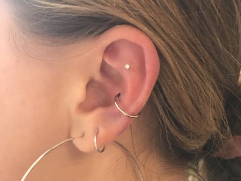 Ear Peircings, Ear Ideas, Flat Piercing, Piercings Earrings, Conch Hoop, Tattoo Parlor, Ear Accessories, Body Accessories, Piercing Inspo