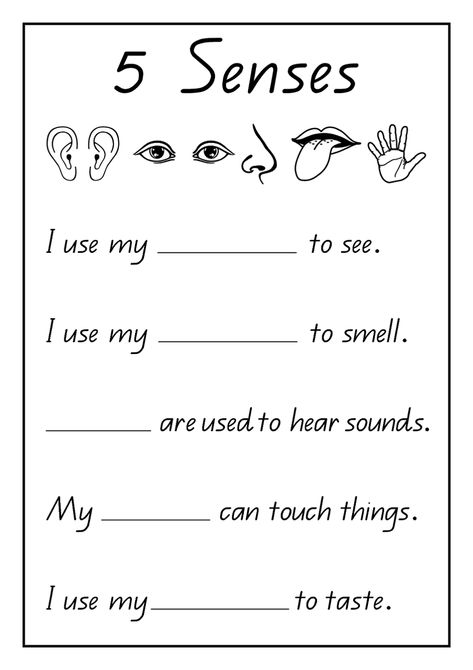 Grade R Worksheets Printable Free for Teachers | Learning Printable Kindergarten Math Worksheets Counting, Grade R Worksheets, Five Senses Worksheet, Homework Activities, Homeschool Worksheets, First Grade Worksheets, Free Preschool Worksheets, Social Studies Worksheets, 2nd Grade Math Worksheets