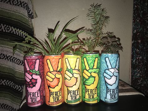 Peace tea planters✌🏻 Peace Tea, Mango Green Tea, Tea Room Decor, Tea Crafts, Monster Crafts, Hippy Room, Chill Room, Indie Room Decor, Indie Room