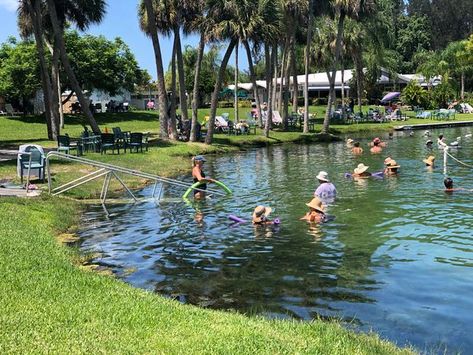 Visitors enjoy Warm Mineral Springs in North Port on July 31, 2021. Things To Do In Florida, 100 Things To Do, Spring Park, Florida Girl, Fountain Of Youth, Roadside Attractions, Water Me, July 31, Florida State