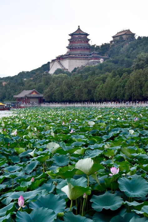 Imperial China Aesthetic, Beijing Aesthetic, Summer Palace Beijing, Where To Stay In London, The Summer Palace, China Travel Guide, Beijing Travel, China City, Visit China