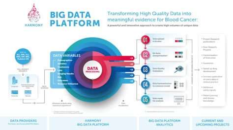 Presenting the HARMONY Big Data Platform Infographic - HARMONY Alliance Diagrams Infographic, Big Data Infographic, Technology Roadmap, Infographic Diagram, Flow Chart Design, Strategy Infographic, Data Platform, Business Strategy Management, Enterprise Architecture