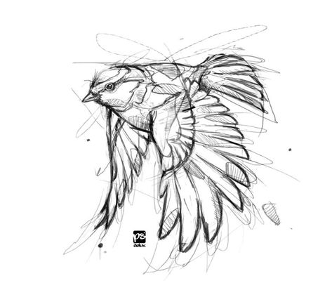 Bird Sketch, Bird Flying, Animal Drawings Sketches, Bird In Flight, Draw Animals, Desenho Tattoo, Tattoo Life, Animal Sketches, Arte Animal