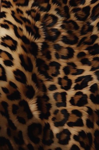 Cheetah Print Fabric, Leslie Core, Money And Cars, Cheetah Aesthetic, The Wolf And The Lamb, Ig Wallpaper, Cheetah Background, Y2k Cheetah Print, Grunge Photos