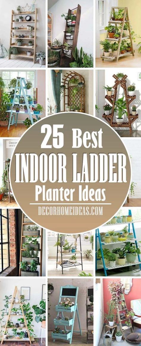 Wooden Ladders Ideas Decor, Garden Ladder Ideas, Wellness Cafe, Ladder Plant Stand, Ladder Planter, Wooden Ladders, Garden Ladder, Plant Ladder, Ladder Ideas