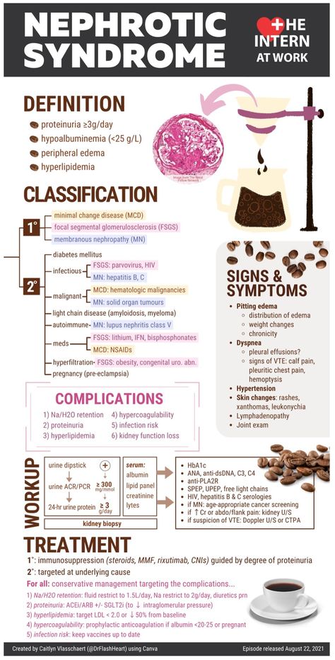 Nursing School Studying Cheat Sheets, Medical Terminology Study, Nurse Teaching, Nephrotic Syndrome, Nursing School Essential, Medicine Notes, Medical School Life, Basic Anatomy And Physiology, Nurse Study Notes